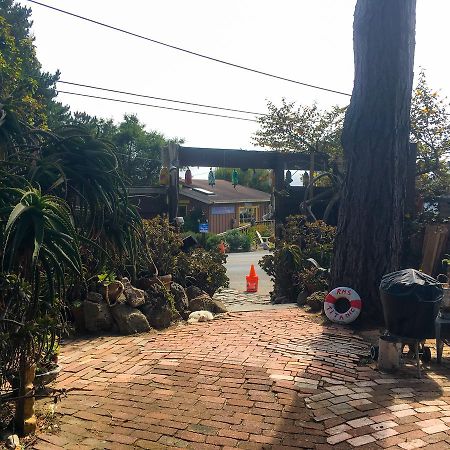 Bed and Breakfast Stinson Beach Redwoods Haus Экстерьер фото